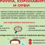 ЗАЩИТИСЬ ОТ ГРИППА, КОРОНАВИРУСА И ОРВИ! - Управление образования