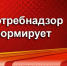 О правильном питании зимой - Сокольский район