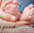 Более 6200 вологодских семей воспользовались мерами господдержки в 2025 году . - Сокольский муниципальный округ